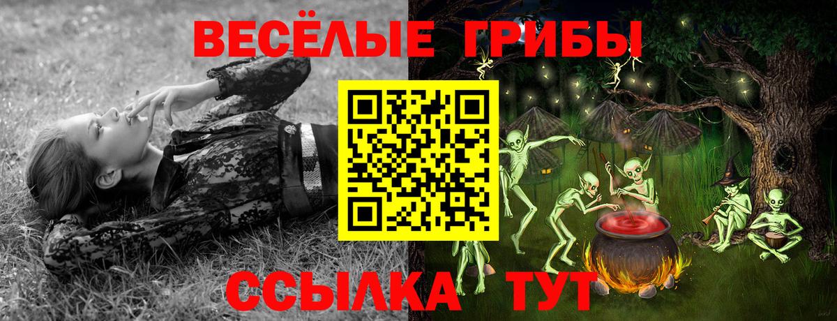 Чебаркуль  Галлюциногенные грибы Cubensis  Вход с VPN  дарнет шоп  Псилоцибиновые грибы GOLDEN TEACHER 