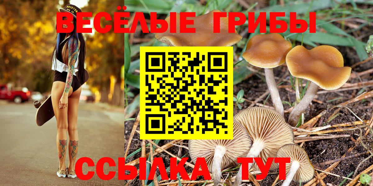 АМФЕТАМИН Чебаркуль